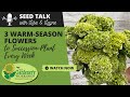 Seed talk 89  3 warmseason flowers to successionplant every week