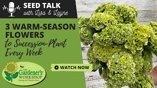 Seed Talk #89  3 WarmSeason Flowers to SuccessionPlant Every Week