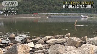 熱波でライン川の水位低下 水運への影響懸念 ドイツ(2022年8月12日)