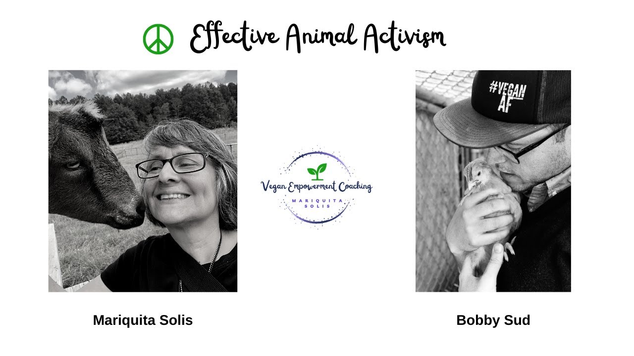 Bobby Sud, Effective Animal Activism - YouTube