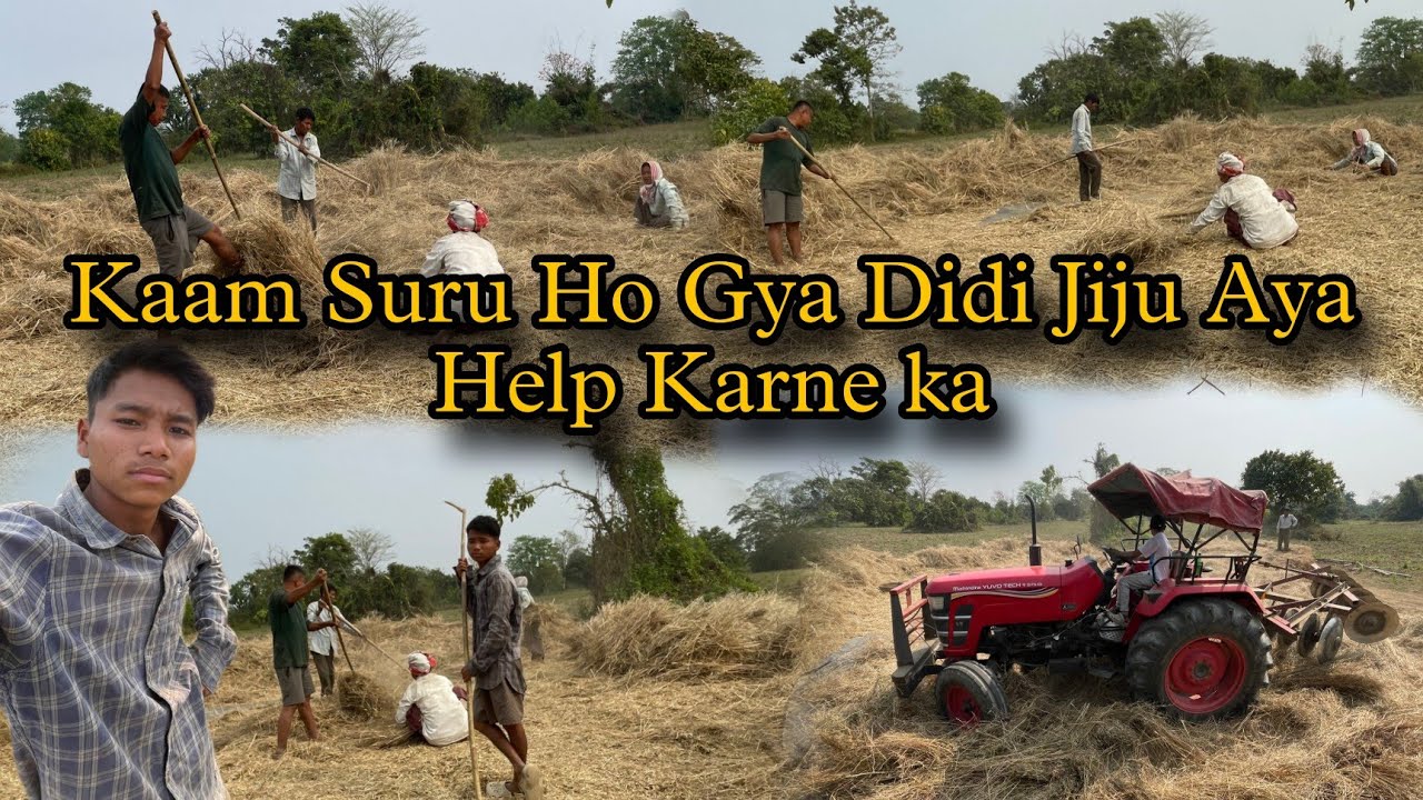 Mustard Harvesting Kaam Suru Ho Gya Didi Jiju Aya Madad Karne 🥵🥵