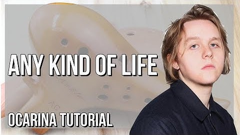 How to play Any Kind Of Life by Lewis Capaldi on Ocarina (Tutorial)