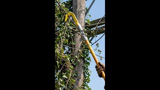 Lightweight Vine Puller That Works Fast | VP-3 Raptor Claw for Arborists @JamesonLLC