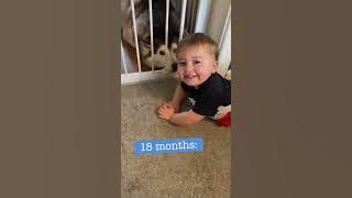 The Full 4 Year Story Of My Husky   Baby Becoming Best Friends   WITH MUSIC