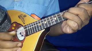 MANDOLIN LESSONS (11) FOR BEGINNER'S