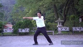 Golden Eagle Gungfu- Form 1-1 金鷹拳-拳母(一蹀頭) 台灣武術 Gung Fu