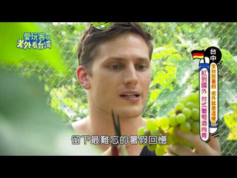 【台中】來到這想不貪杯都難，台灣也有頂級葡萄園？！下一個台灣之光【愛玩客之老外看台灣】#231精彩回顧