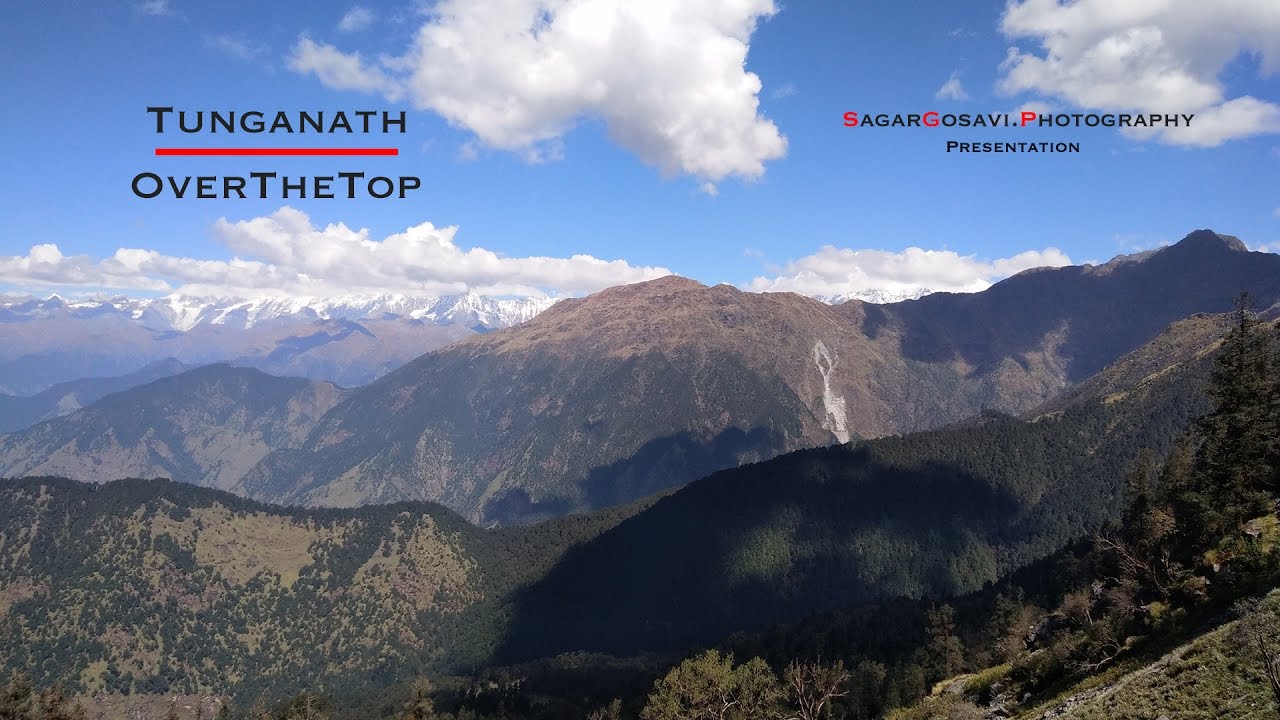 HImalayan Monal and Timelapse from Tunganath, Uttarakhand, India. 