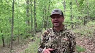 What You Need to Know About Turkey Hens & Toms Behaviors