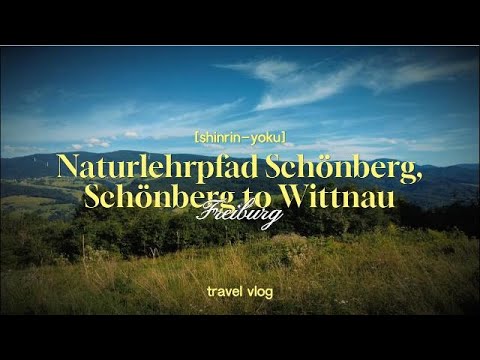 This Japanese-language travel channel describes a walk on the Schönberg nature trail, climbing toward the summit and descending to Wittnau. The subject matches the municipality’s own account of the trail and its village starting point. The footage offers a visitor’s perspective on the wooded hillside and the transition toward the wine-growing village; it should be treated as a personal route record rather than an official map or access notice. Check current signage and trail conditions before setting out.