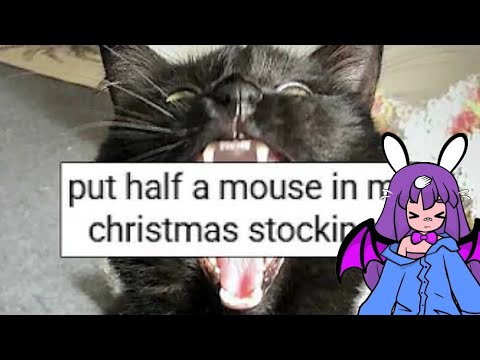 Reaction to Matt rose Tales of Pets Tormenting their Owners (EchoReacts)