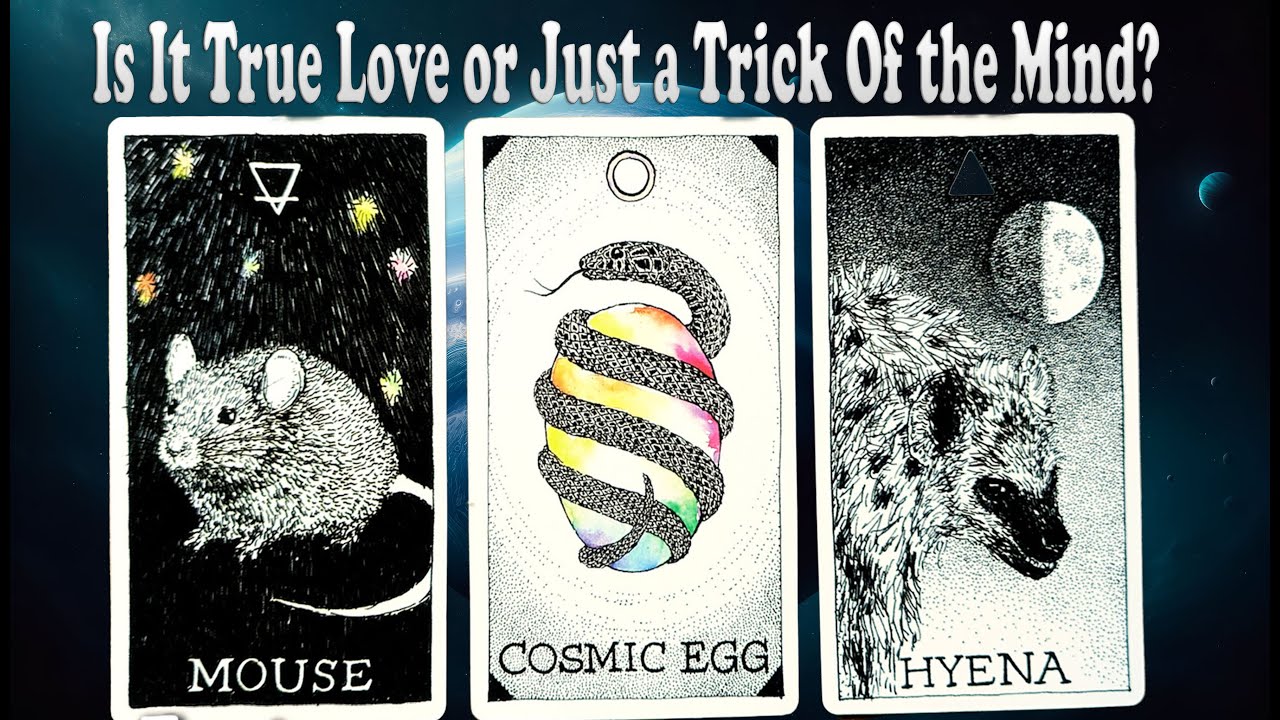 IS IT TRUE LOVE OR JUST A TRICK OF THE MIND? 💖🧠 Timeless Pick-a-Card Tarot Reading 🔮✨