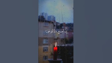 قل أرأيتم إن أصبح ماؤكم غورا فمن يأتيكم بماء معين | سورة الملك | القارئ سعد الغامدي