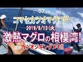 相模湾マグロ激熱モード!! エビングほかカツオジギングメモ (2019/08/13)五エム丸