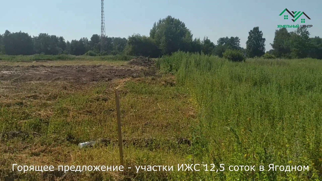 Массив ваза ягодное