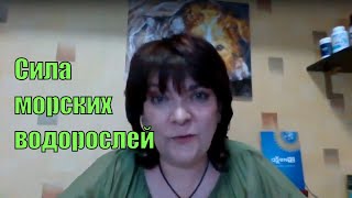 Сила морских водорослей. Результаты применения. Врач Наталия Назаренко.