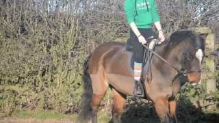 Raws of flatwork today!!