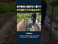 紐が絶対に緩まない裏ワザ 一瞬で固定できる仮止めのコツ
