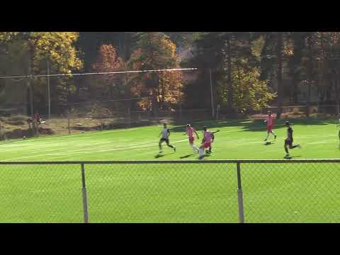 არაგვი (დუშეთი) - მერანი (მარტვილი) 2-0