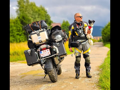 dog top box motorcycle