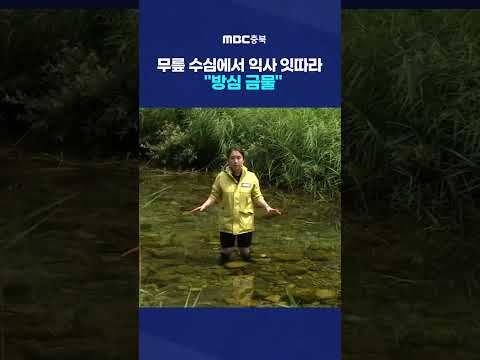 <strong>다슬기</strong> 잡던 50대 여성 익사.. 실족 추정 #Shorts (MBC충북뉴스)