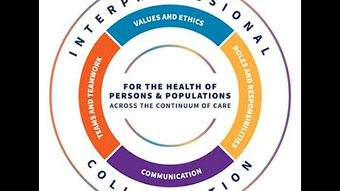 Week 2   IPEC Competencies