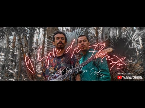 Cronixta, Felipe Cordeiro - O Som da Floresta
