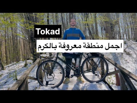دخلنا المنطقة تاريخي ة فيه تقديم الطعام بالمجان Bokadi