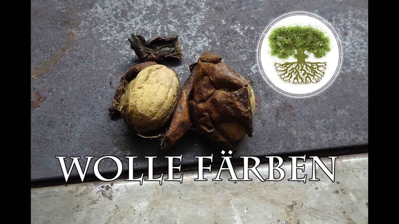 Wolle färben mit Nussschalen