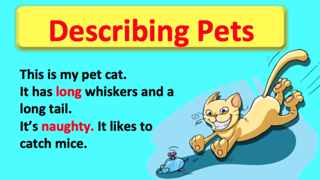 Using Adjectives To Describe Pets 😸  | Easy English Grammar