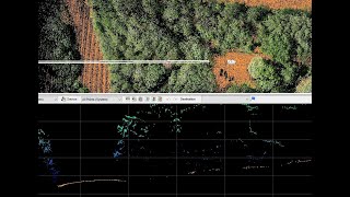 True View EVO Tutorial | Taking Point Cloud from Ground to Products