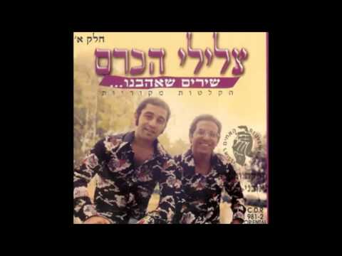 דקלון שמחה גדולה הלילה 