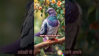 Aaj Kal Ka Pyar Reality  motivation facts story hindi youtubeshorts inspiration love