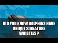 5 Strange Ways Animals Communicate #shorts