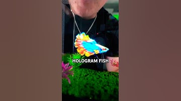 World’s First REAL Hologram Fish Tank