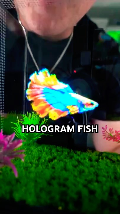 World’s First REAL Hologram Fish Tank