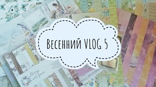 Весенний VLOG 5 - сошла со скрап дистанции, покупки в Бумажном Кораблике, группа в телеграм Васильки