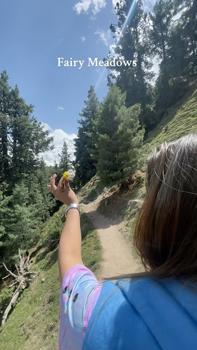 Fairy meadows ~ Nanga perbat base camp ~ Biyal Camp ~ Travel Girl