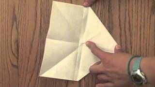 fortune teller