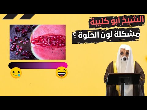 أبو كليبة يفتي في لون الحلوة للضحك فقط نوستيك هشام