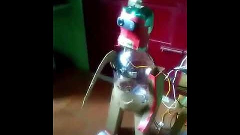 Humanoid robot using raspberry pi