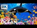 Life Of The Ocean 8K ULTRA HD الأنواع البحرية مع موسيقى مريحة 