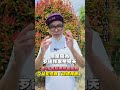 社會治安事件