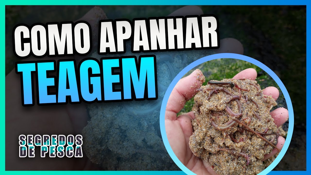 ✔Como apanhar teagem 🎣