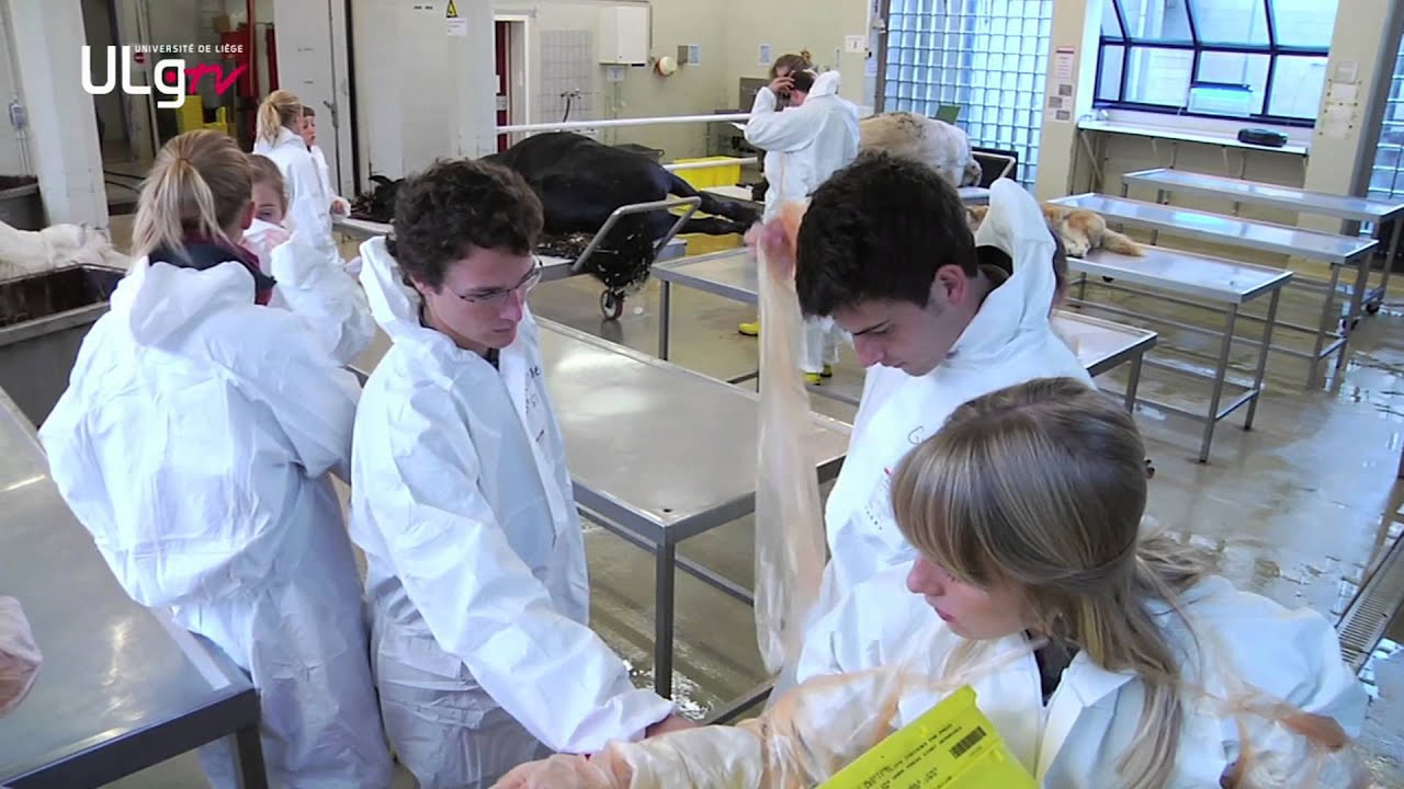 Faculté De Médecine Vétérinaire De L'université De Liège