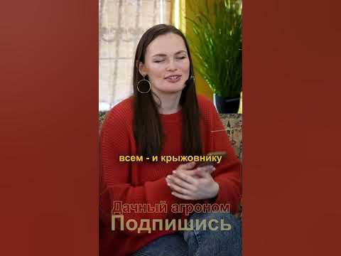 Какая смородина лучше? Дачный агроном рекомендует - YouTube