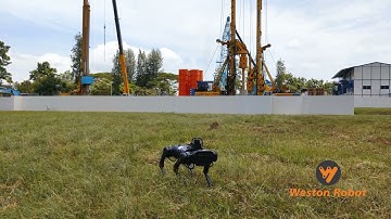 Robot Dog Construction Site Patrolling