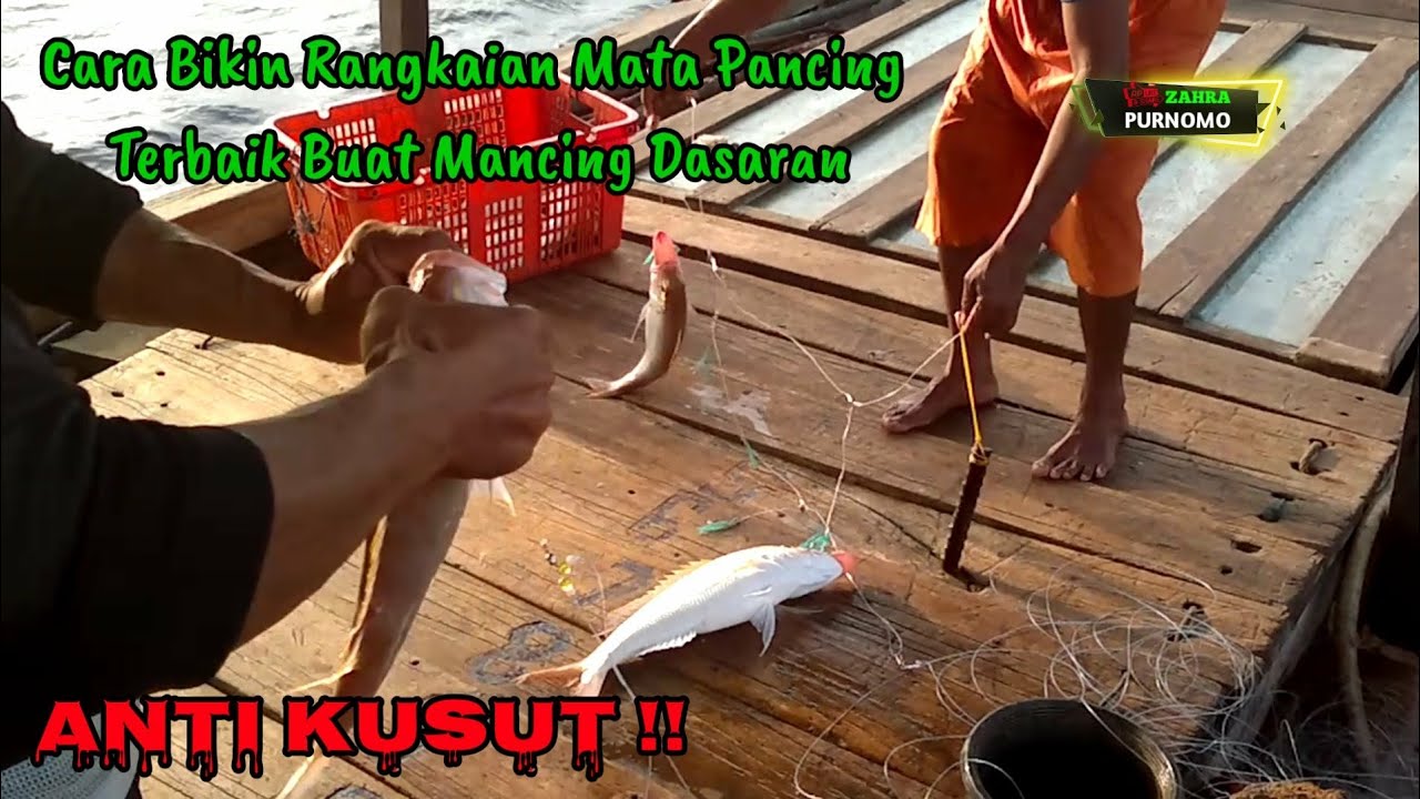 Rangkaian pancing terbaik buat mancing dasaran anti kusut 