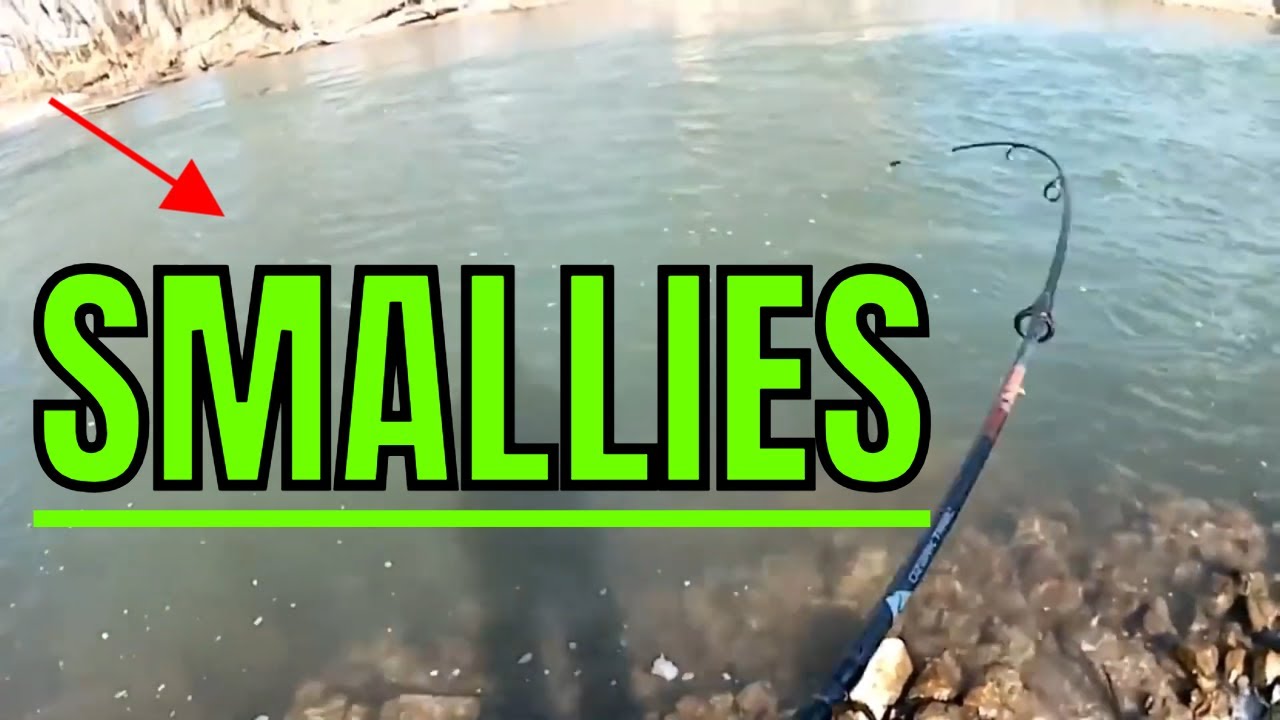 Unbelievable Smallmouth Bass Catch!