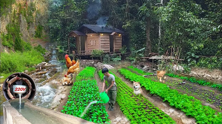 Build houses, fish ponds, gardens, hydroelectric, alone build life last for hundreds years in forest